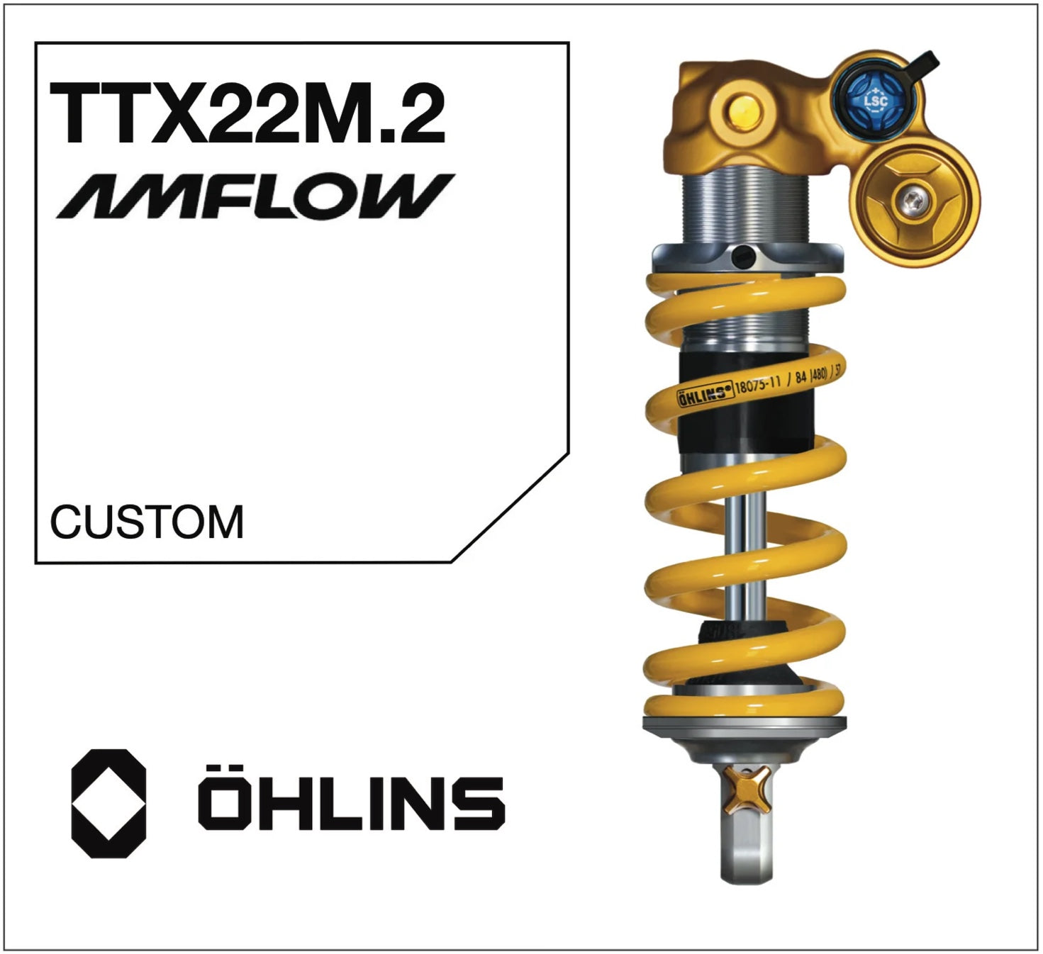 Öhlins TTX22m.2 Amflow PL – PMB Suspension
