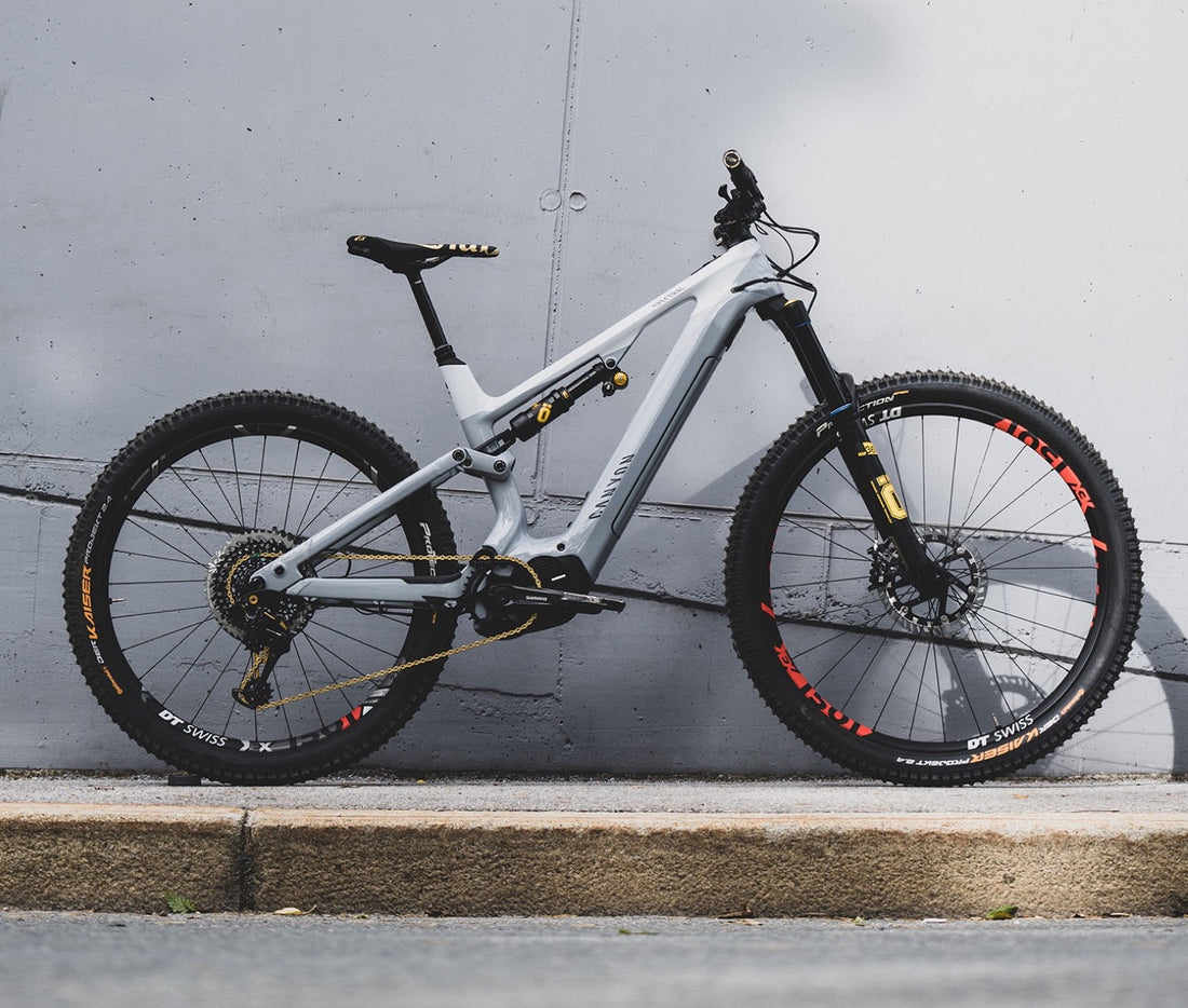 Canyon Spectral Fabio Wibmer Öhlins