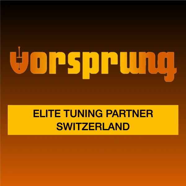 Vorsprung Suspension