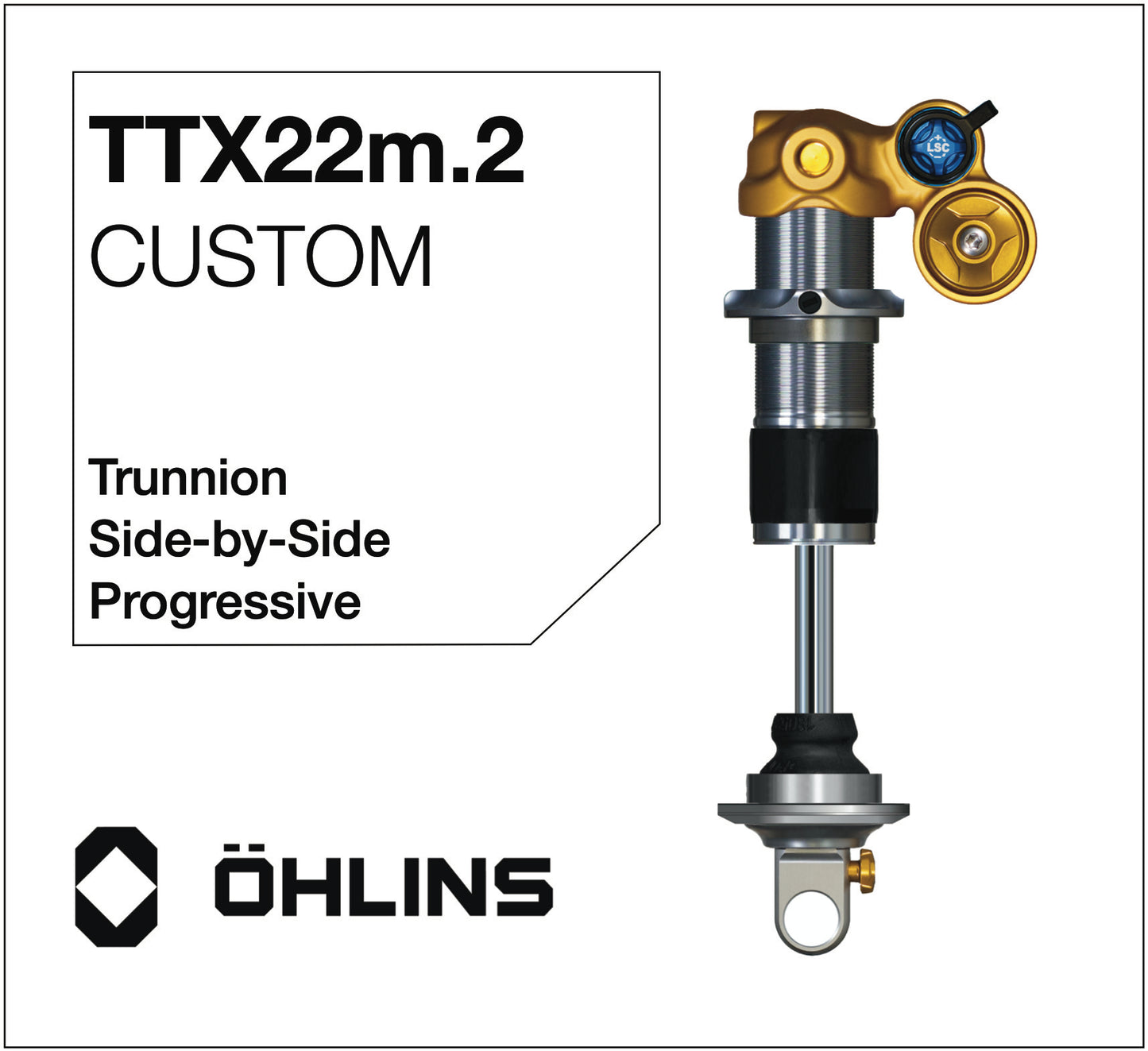 Öhlins TTX22m.2 Custom