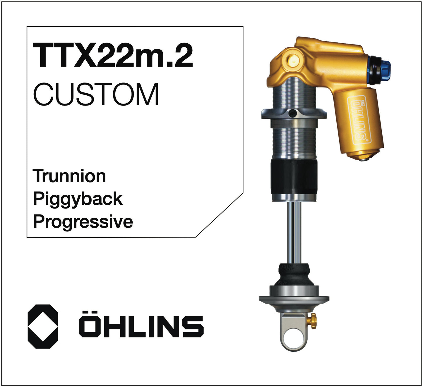Öhlins TTX22m.2 Custom